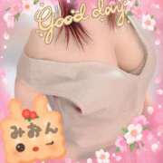 ヒメ日記 2025/03/16 17:12 投稿 みおん 熟女の風俗最終章 新宿店