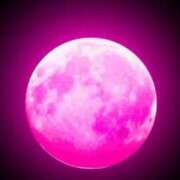 ヒメ日記 2025/04/10 11:53 投稿 みおん 熟女の風俗最終章 新宿店