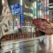 ヒメ日記 2025/10/11 18:12 投稿 みおん 熟女の風俗最終章 新宿店