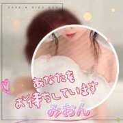 ヒメ日記 2026/02/24 21:20 投稿 みおん 熟女の風俗最終章 新宿店