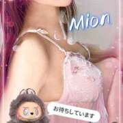 ヒメ日記 2026/03/06 10:26 投稿 みおん 熟女の風俗最終章 新宿店