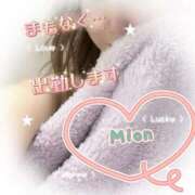 ヒメ日記 2026/03/17 10:05 投稿 みおん 熟女の風俗最終章 新宿店