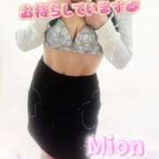 ヒメ日記 2026/08/15 09:19 投稿 みおん 熟女の風俗最終章 新宿店