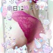 ヒメ日記 2024/12/10 00:32 投稿 みおん 熟女の風俗最終章 池袋店