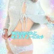 ヒメ日記 2024/12/29 11:03 投稿 みおん 熟女の風俗最終章 池袋店