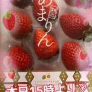 ヒメ日記 2025/02/04 11:02 投稿 みおん 熟女の風俗最終章 池袋店