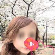 ヒメ日記 2025/04/03 14:09 投稿 みおん 熟女の風俗最終章 池袋店