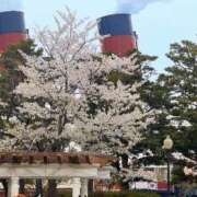 ヒメ日記 2025/04/11 13:42 投稿 みおん 熟女の風俗最終章 池袋店