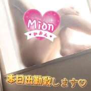 ヒメ日記 2025/08/23 10:03 投稿 みおん 熟女の風俗最終章 池袋店