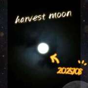 ヒメ日記 2025/10/08 04:02 投稿 みおん 熟女の風俗最終章 池袋店