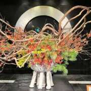 ヒメ日記 2026/01/20 08:34 投稿 みおん 熟女の風俗最終章 池袋店