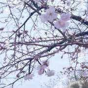 ヒメ日記 2026/03/23 11:32 投稿 みおん 熟女の風俗最終章 池袋店