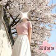 ヒメ日記 2026/04/03 11:12 投稿 みおん 熟女の風俗最終章 池袋店