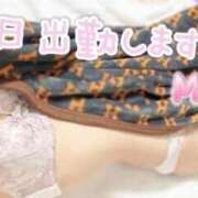 ヒメ日記 2026/08/11 09:12 投稿 みおん 熟女の風俗最終章 池袋店