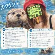 ヒメ日記 2026/10/06 19:02 投稿 みおん 熟女の風俗最終章 池袋店