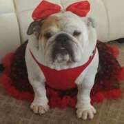 ヒメ日記 2025/05/27 12:08 投稿 田口 MadameRest(マダムレスト)