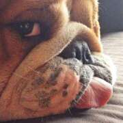 ヒメ日記 2025/05/29 19:07 投稿 田口 MadameRest(マダムレスト)