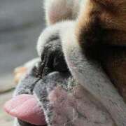 ヒメ日記 2025/05/30 01:26 投稿 田口 MadameRest(マダムレスト)