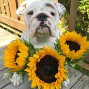 ヒメ日記 2025/05/30 09:25 投稿 田口 MadameRest(マダムレスト)