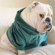 ヒメ日記 2025/05/31 09:46 投稿 田口 MadameRest(マダムレスト)