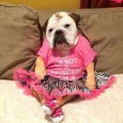 ヒメ日記 2025/06/04 18:54 投稿 田口 MadameRest(マダムレスト)