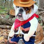 ヒメ日記 2025/06/07 11:02 投稿 田口 MadameRest(マダムレスト)