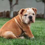 ヒメ日記 2025/06/08 01:02 投稿 田口 MadameRest(マダムレスト)