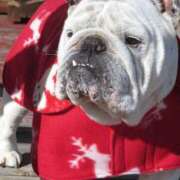 ヒメ日記 2025/06/09 00:12 投稿 田口 MadameRest(マダムレスト)