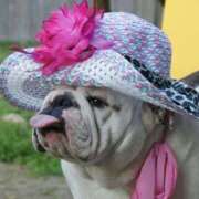 ヒメ日記 2025/06/09 11:18 投稿 田口 MadameRest(マダムレスト)