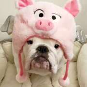 ヒメ日記 2025/06/12 13:07 投稿 田口 MadameRest(マダムレスト)