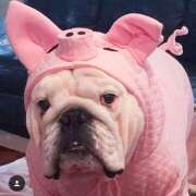 ヒメ日記 2025/06/13 01:28 投稿 田口 MadameRest(マダムレスト)