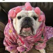 ヒメ日記 2025/06/14 11:11 投稿 田口 MadameRest(マダムレスト)