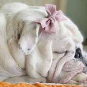 ヒメ日記 2025/06/20 12:27 投稿 田口 MadameRest(マダムレスト)