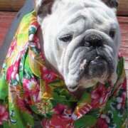 ヒメ日記 2025/06/21 14:15 投稿 田口 MadameRest(マダムレスト)