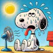 ヒメ日記 2025/06/23 18:24 投稿 田口 MadameRest(マダムレスト)