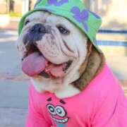 ヒメ日記 2025/07/05 15:27 投稿 田口 MadameRest(マダムレスト)