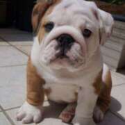 ヒメ日記 2025/07/16 19:46 投稿 田口 MadameRest(マダムレスト)