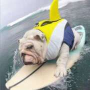 ヒメ日記 2025/08/09 14:58 投稿 田口 MadameRest(マダムレスト)