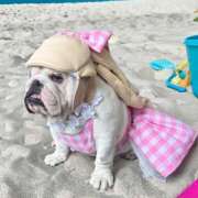 ヒメ日記 2025/09/01 09:58 投稿 田口 MadameRest(マダムレスト)