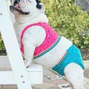 ヒメ日記 2025/09/01 12:10 投稿 田口 MadameRest(マダムレスト)