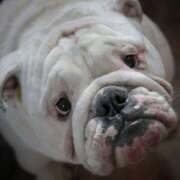 ヒメ日記 2025/09/03 07:45 投稿 田口 MadameRest(マダムレスト)