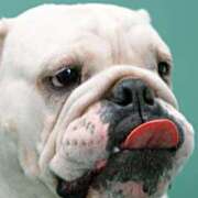 ヒメ日記 2025/09/06 07:28 投稿 田口 MadameRest(マダムレスト)