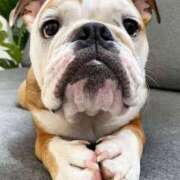 ヒメ日記 2025/09/06 09:52 投稿 田口 MadameRest(マダムレスト)