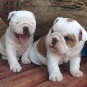 ヒメ日記 2025/09/07 20:20 投稿 田口 MadameRest(マダムレスト)