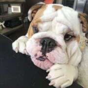 ヒメ日記 2025/09/13 17:36 投稿 田口 MadameRest(マダムレスト)