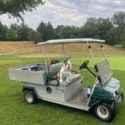 ヒメ日記 2025/09/14 10:09 投稿 田口 MadameRest(マダムレスト)