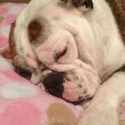 ヒメ日記 2025/09/17 11:13 投稿 田口 MadameRest(マダムレスト)