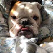 ヒメ日記 2025/09/27 07:14 投稿 田口 MadameRest(マダムレスト)