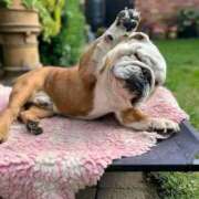 ヒメ日記 2025/10/04 11:04 投稿 田口 MadameRest(マダムレスト)