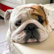 ヒメ日記 2025/10/05 11:21 投稿 田口 MadameRest(マダムレスト)